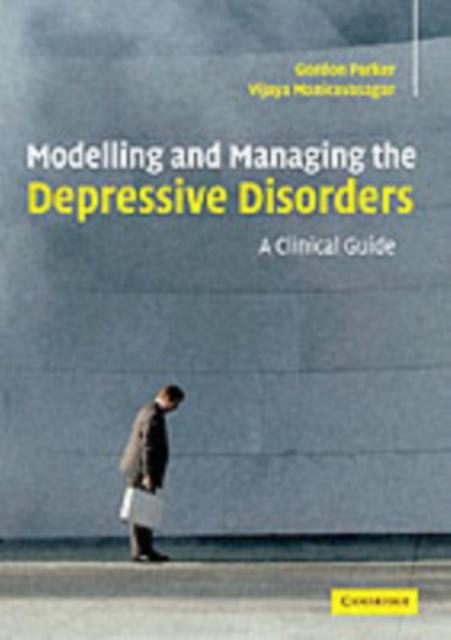 Modelling and Managing the Depressive Disorders