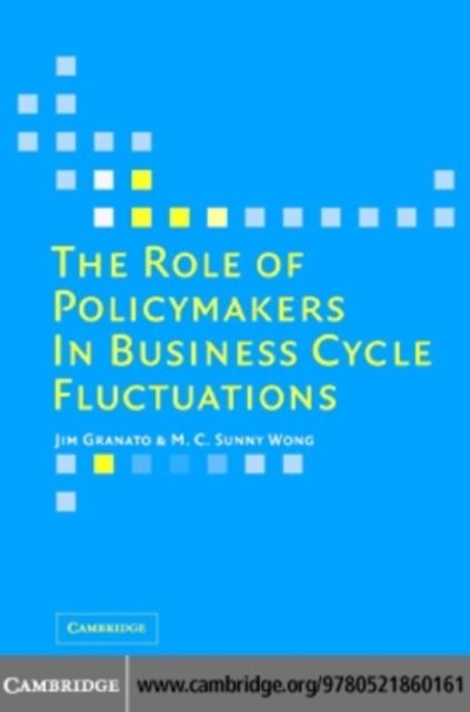 Role of Policymakers in Business Cycle Fluctuations
