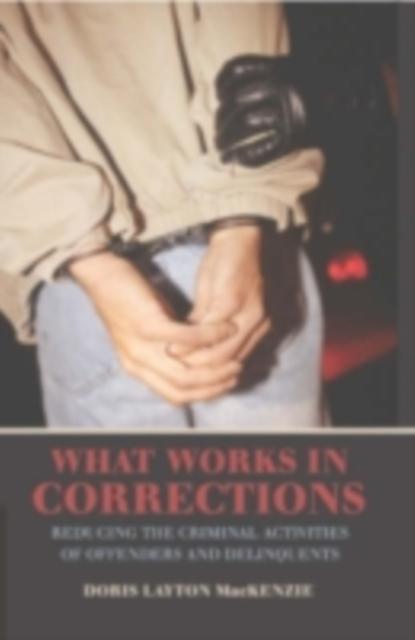 What Works in Corrections als eBook Download von Doris Layton MacKenzie - Doris Layton MacKenzie