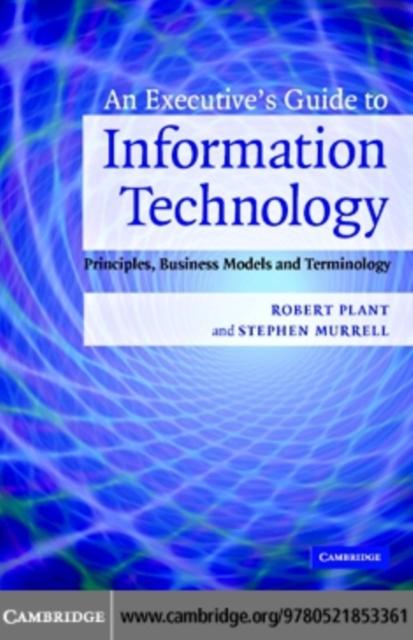 Executive's Guide to Information Technology - Robert Plant