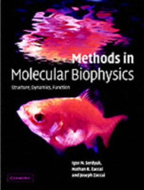 Methods in Molecular Biophysics als eBook Download von Igor N. Serdyuk, Nathan R. Zaccai, Joseph Zaccai - Igor N. Serdyuk, Nathan R. Zaccai, Joseph Zaccai
