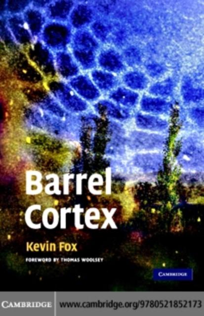 Barrel Cortex - Kevin Fox