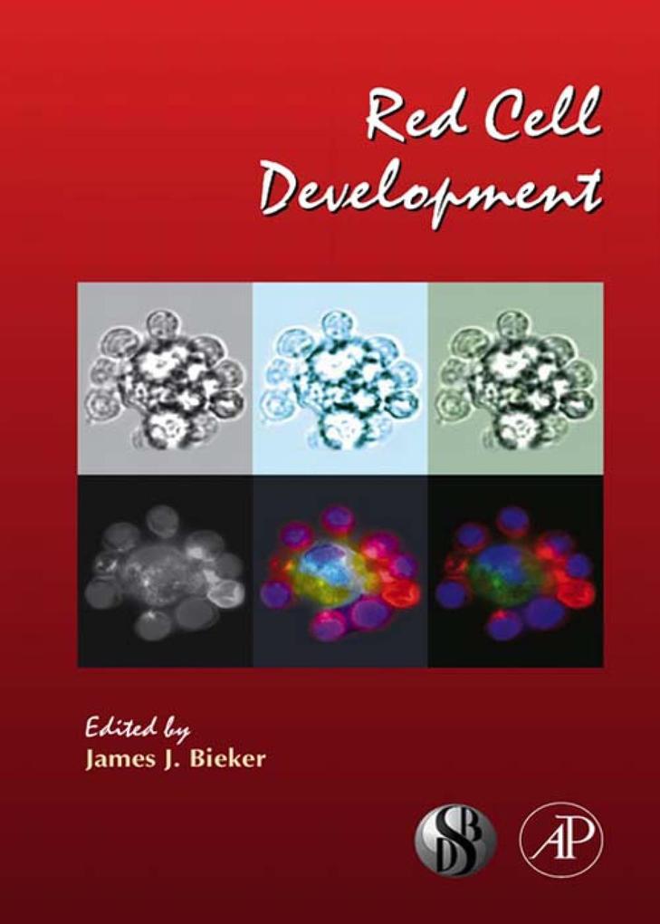 Red Cell Development