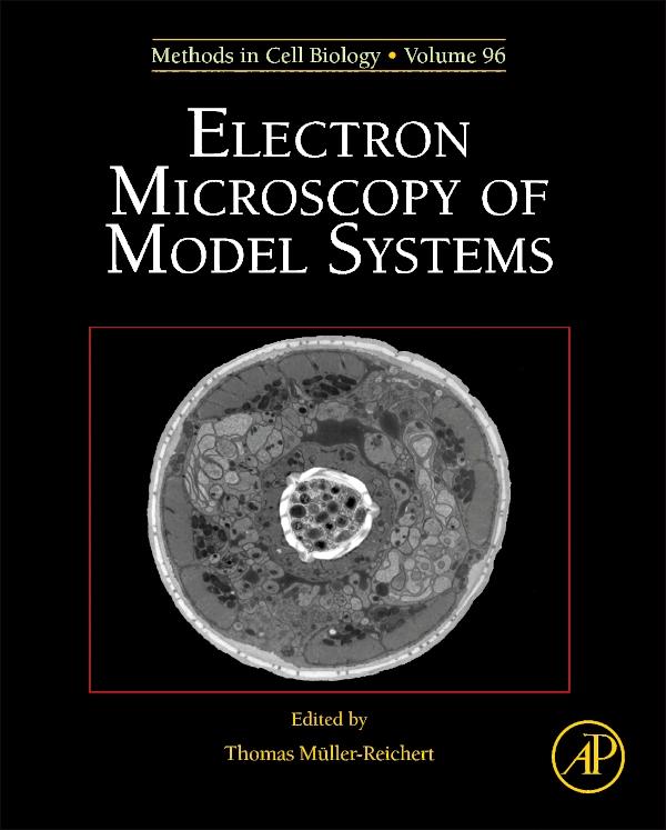 Electron Microscopy of Model Systems