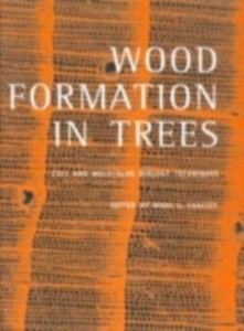 Wood Formation in Trees als eBook Download von