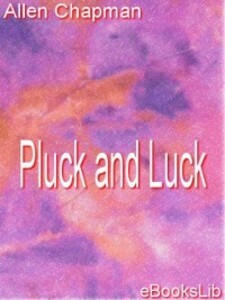 Pluck and Luck als eBook Download von Allen Chapman - Allen Chapman