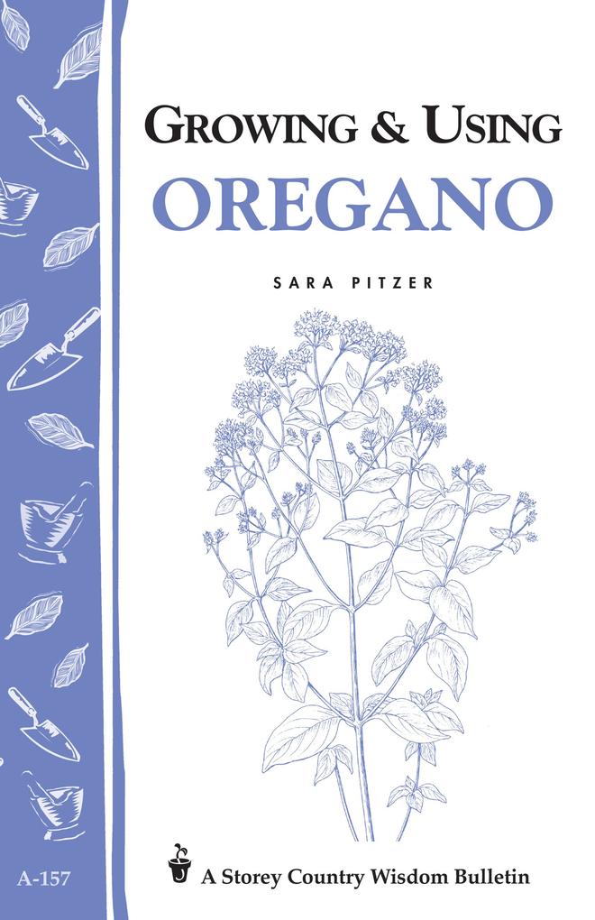 Growing & Using Oregano