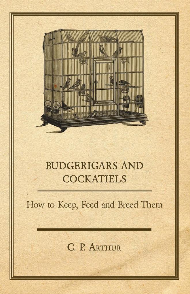 Budgerigars and Cockatiels - How to Keep Feed and Breed Them