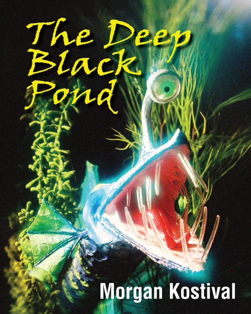 Deep Black Pond