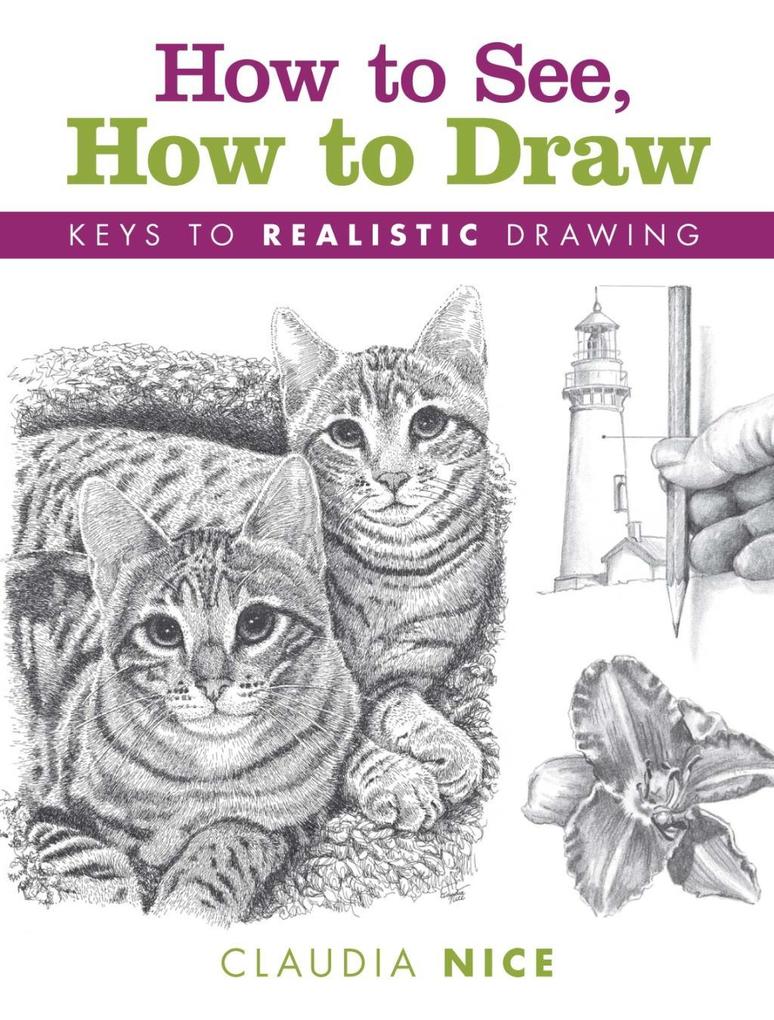 How to See How to Draw