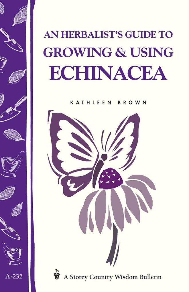 An Herbalist‘s Guide to Growing & Using Echinacea