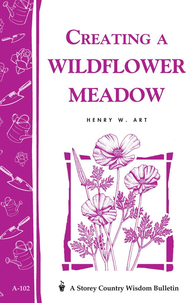 Creating a Wildflower Meadow