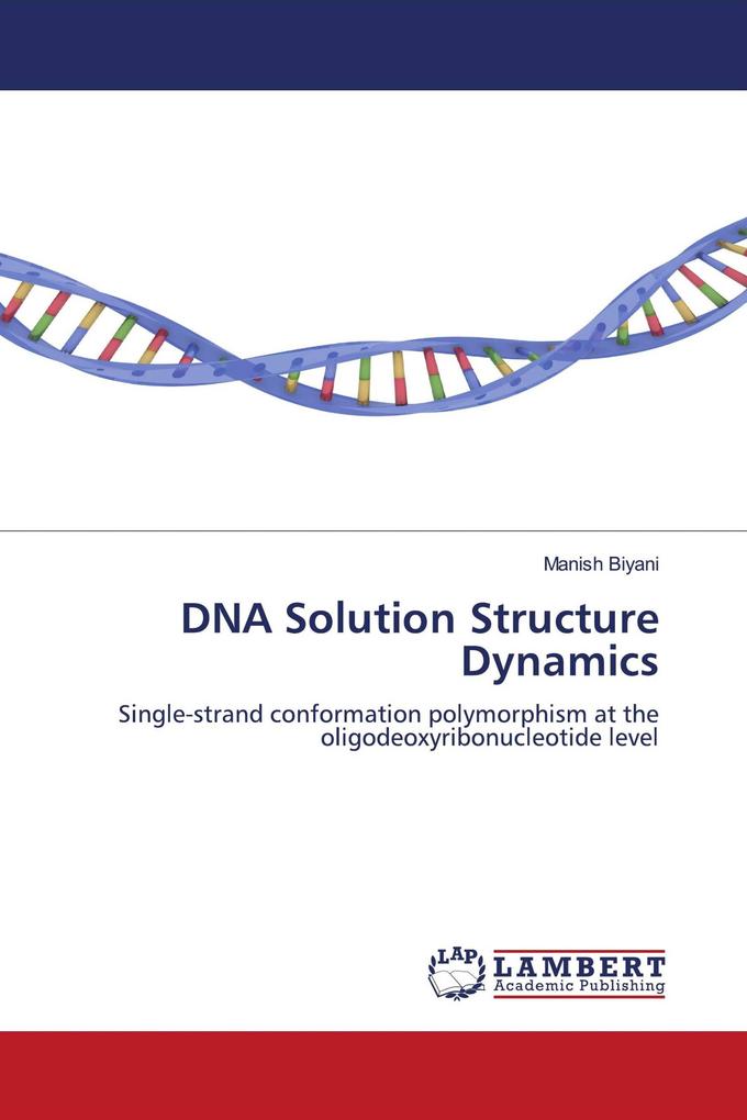 DNA Solution Structure Dynamics