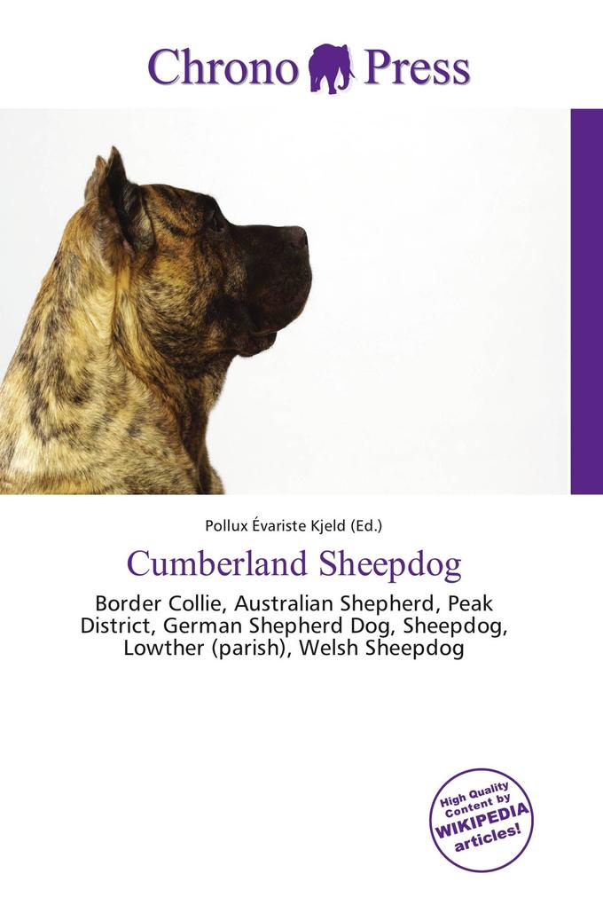 Cumberland Sheepdog