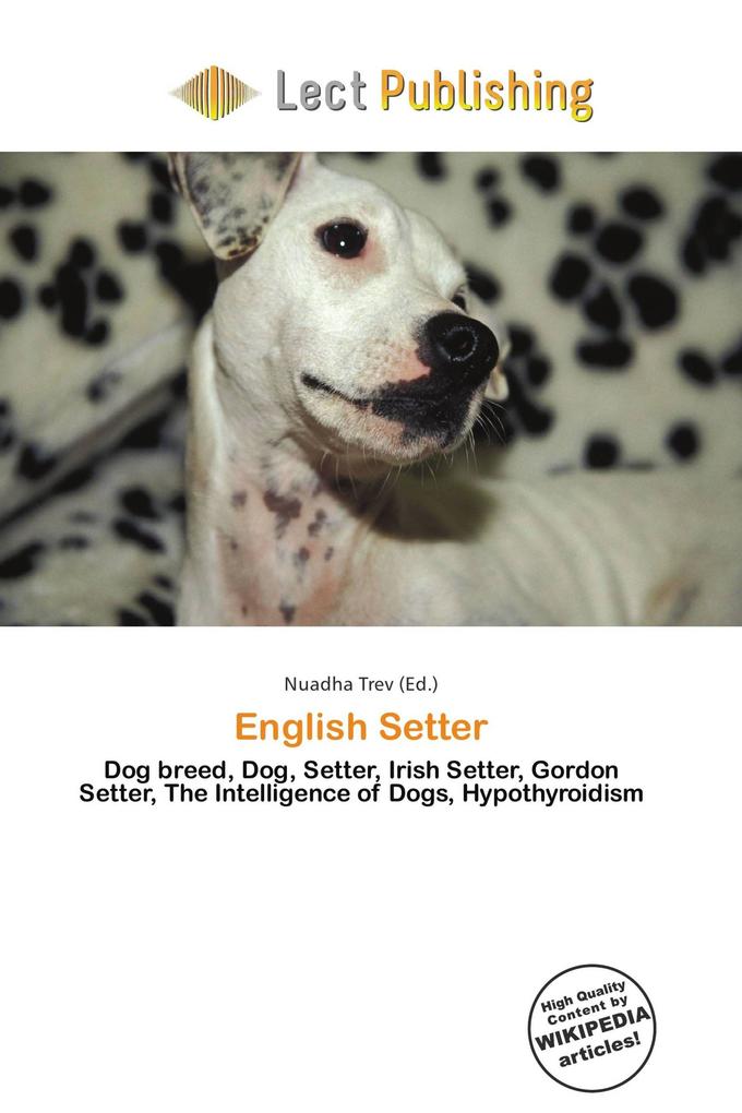English Setter