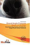 Grand Anglo-Français Blanc et Orange