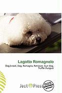 Lagotto Romagnolo