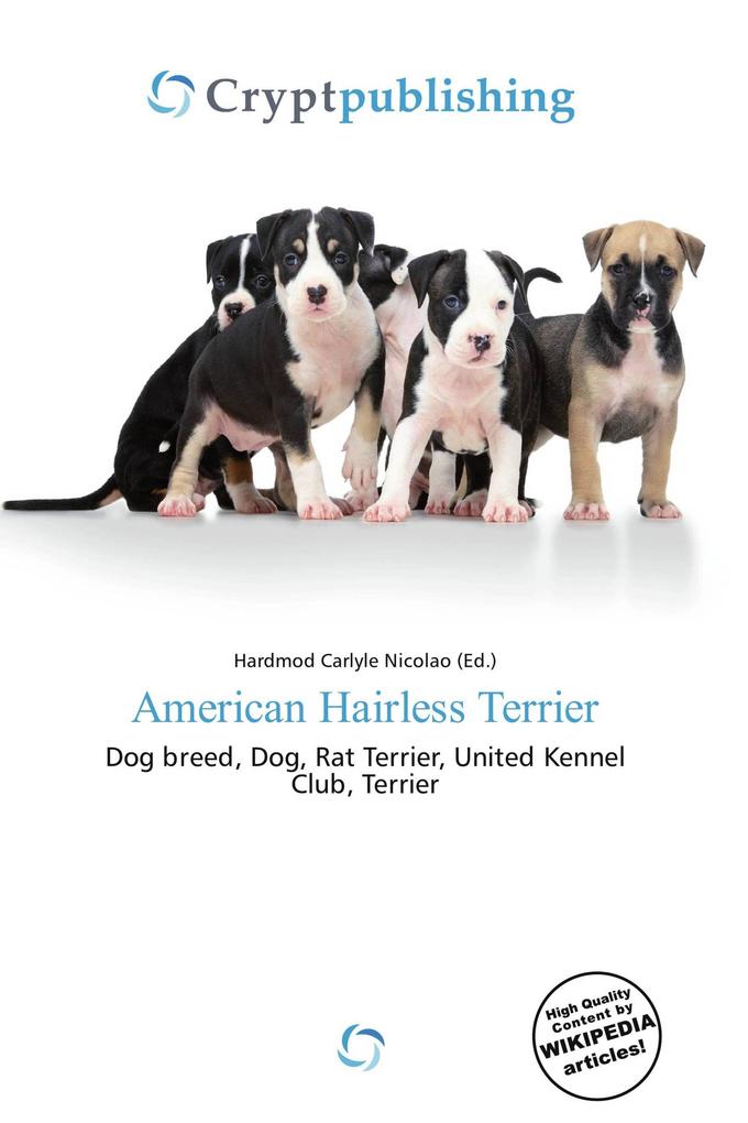American Hairless Terrier
