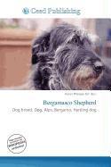 Bergamasco Shepherd