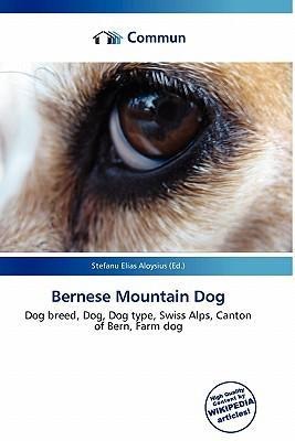 Bernese Mountain Dog