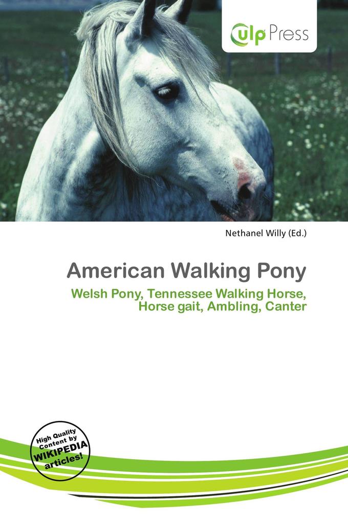 American Walking Pony