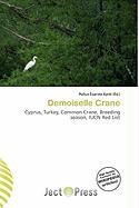 Demoiselle Crane