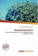 Acestrorhynchus