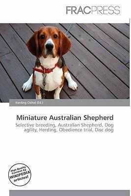 Miniature Australian Shepherd
