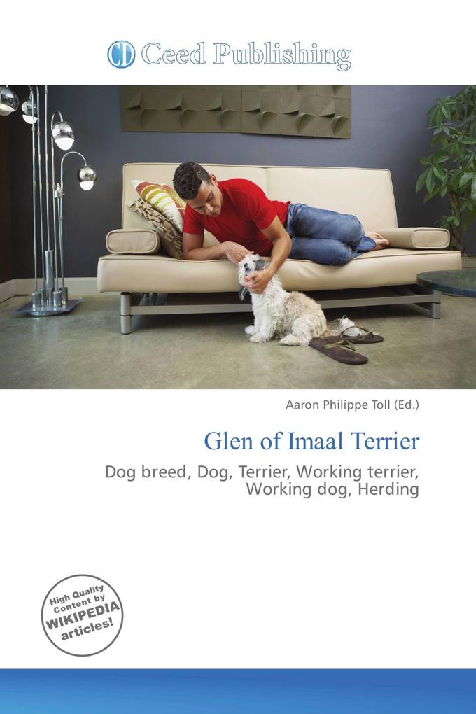 Glen of Imaal Terrier