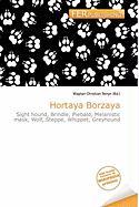 Hortaya Borzaya