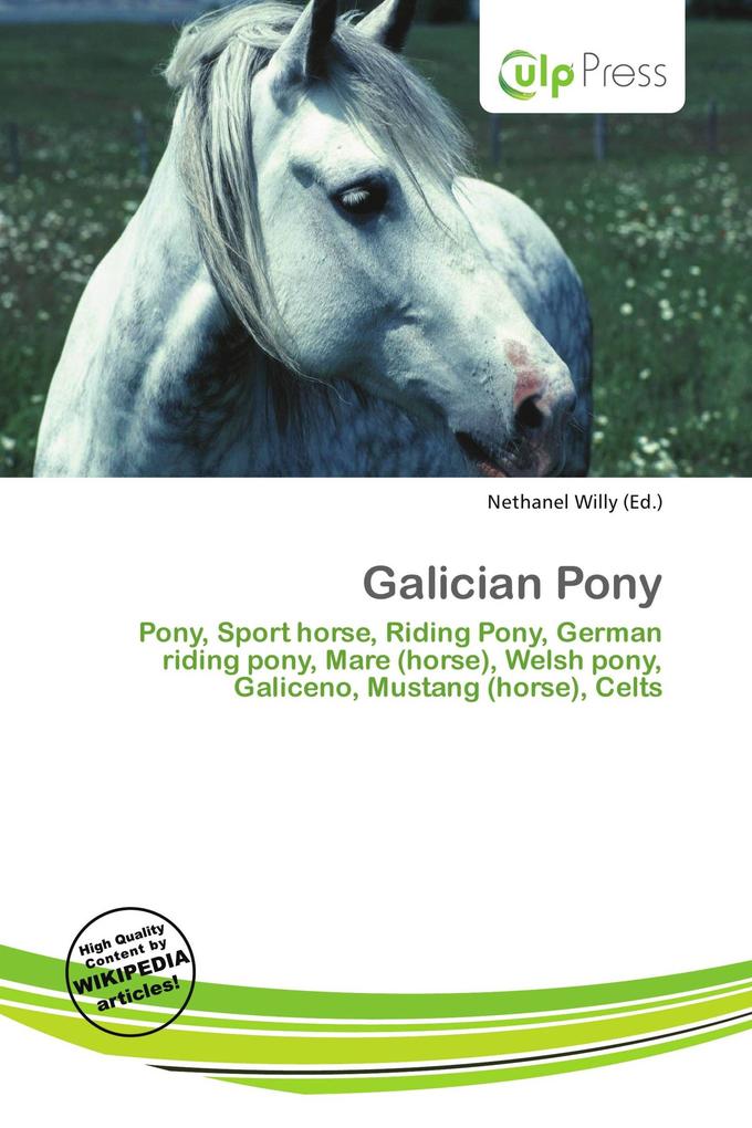 Galician Pony