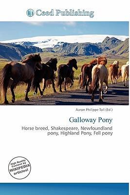 Galloway Pony