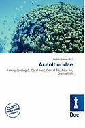 Acanthuridae