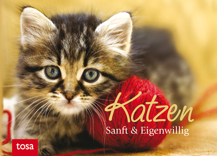 Katzen