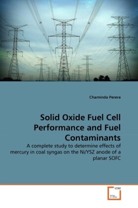 Solid Oxide Fuel Cell Performance and Fuel Contaminants