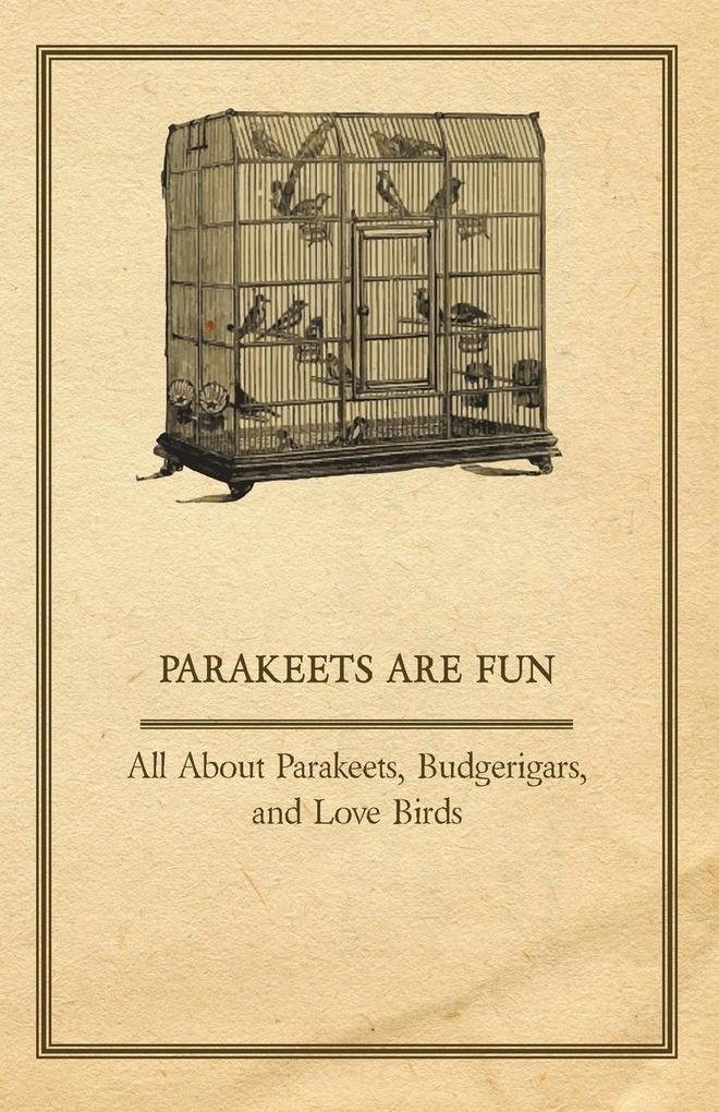 Parakeets are Fun - All About Parakeets Budgerigars and Love Birds - Anon