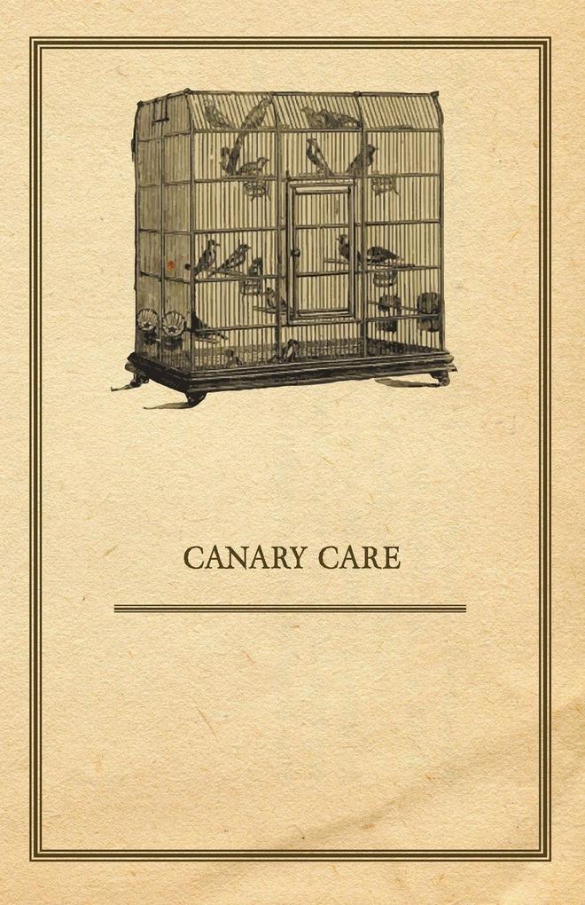 Canary Care