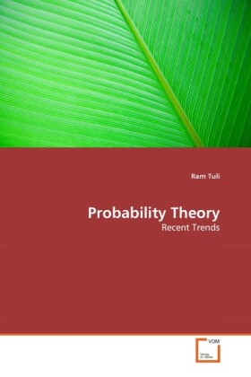 Probability Theory als Buch von Ram Tuli - Ram Tuli