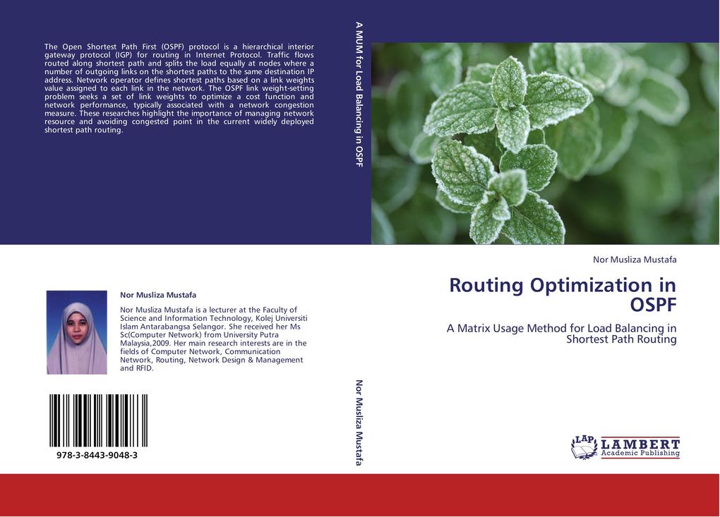 Routing Optimization in OSPF