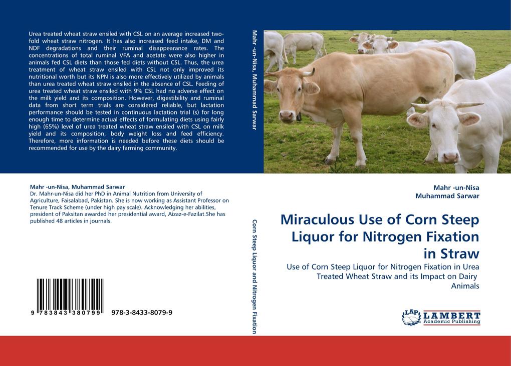 Miraculous Use of Corn Steep Liquor for Nitrogen Fixation in Straw