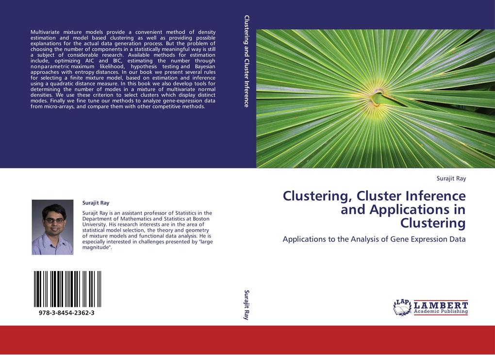 Clustering Cluster Inference and Applications in Clustering