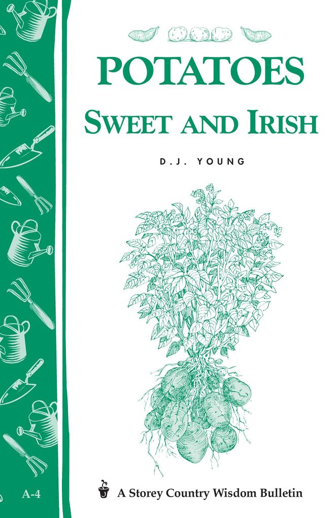 Potatoes Sweet and Irish
