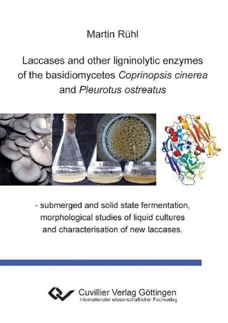Laccases and other ligninolytic enzymes of the basidiomycetes Coprinopsis cinerea and Pleurotus ostreatus. - submerged and solid state fermentation morphological studies of liquid cultures and characterisation of new laccases