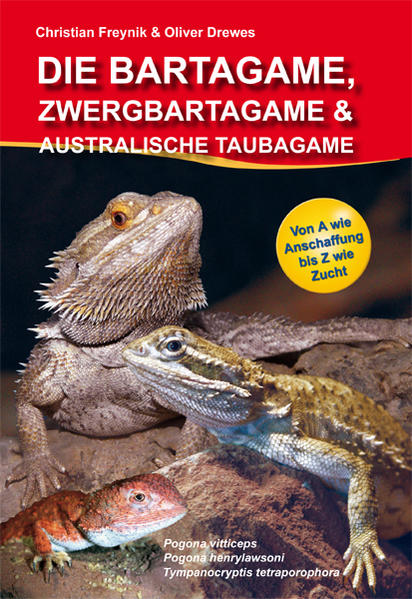 Die Bartagame Zwergbartagame & Australische Taubagame