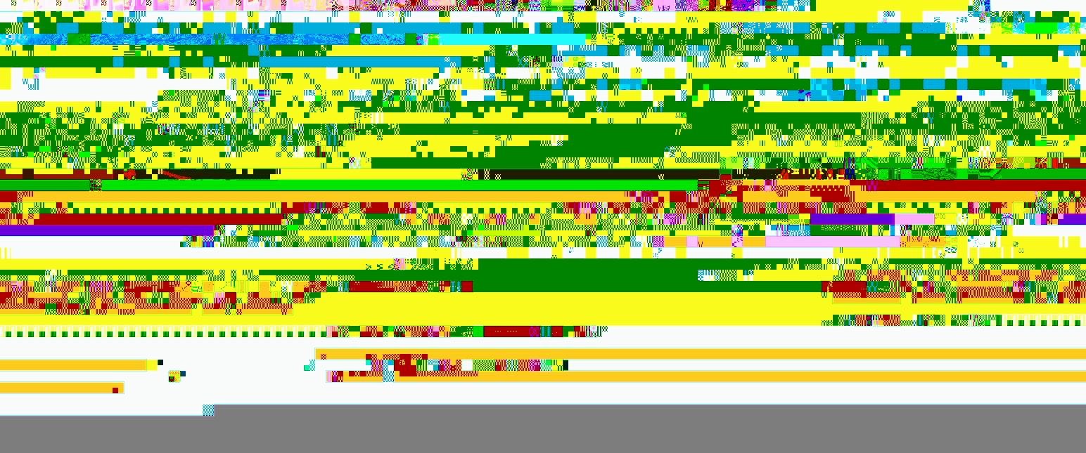 Online-Reichweiten- und Erlösoptimierung von Verlagswebsites durch Search Engine Marketing und Search Engine Optimization (VDZ)