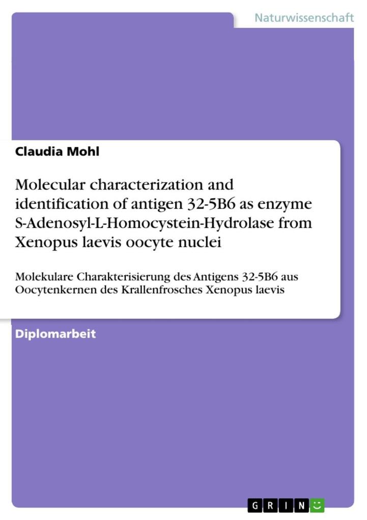 Molecular characterization and identification of antigen 32-5B6 as enzyme S-Adenosyl-L-Homocystein-Hydrolase from Xenopus laevis oocyte nuclei