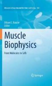 Muscle Biophysics