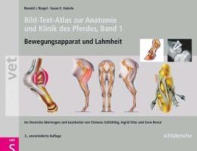 Bild-Text-Atlas zur Anatomie und Klinik des Pferdes - Ronald J. Riegel/ Susan E. Hakola