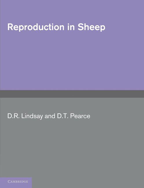 Reproduction in Sheep
