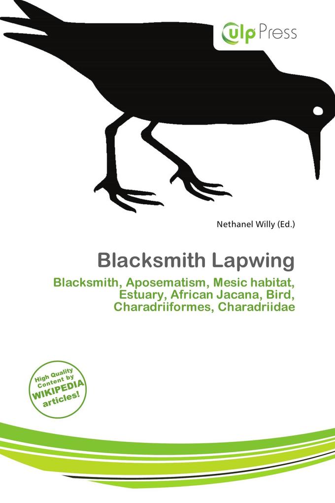 Blacksmith Lapwing